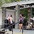 photo thumbnail
