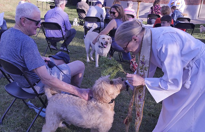 The Rev. Victoria Herd blesses Little Bear as she sprinkles holy water on his head at the Blessing of the Animals on Saturday.