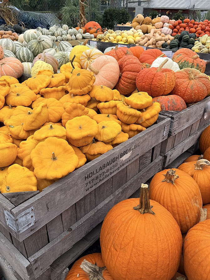 A sea of pumpkins greets customers at Fall events