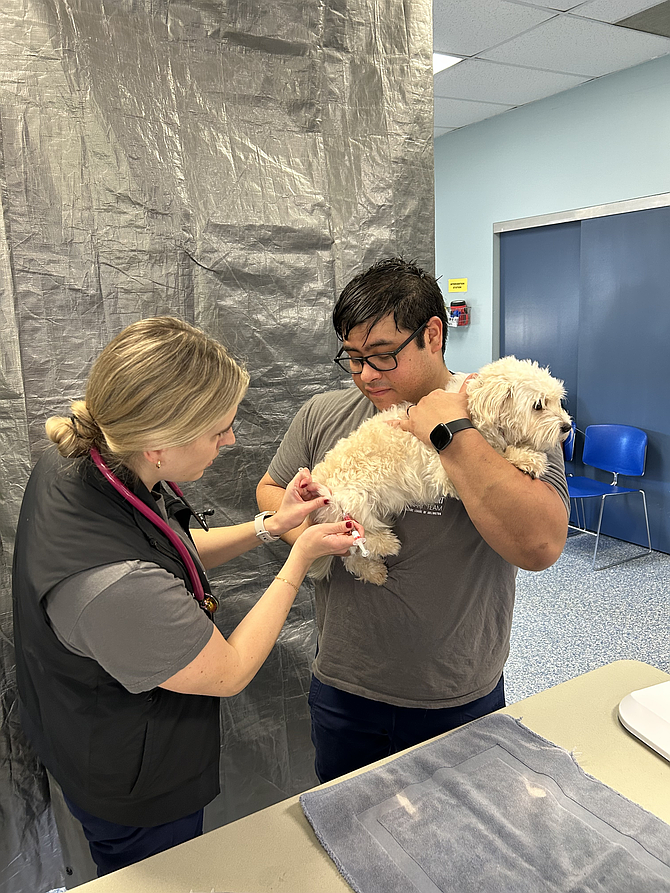 Vaccine clinics offering free vaccines for pets are one of many ways Animal Welfare League of Arlington helps people keep their pets at home.