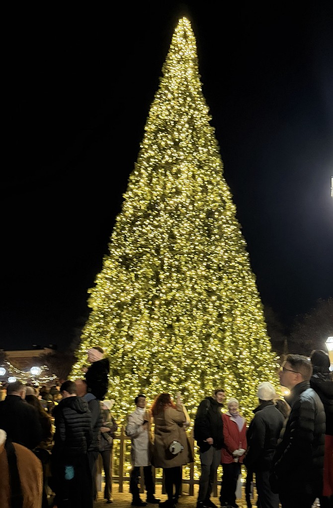 The Market Square Christmas tree twinkles with more than 38,000 lights after the official tree lighting ceremony Nov. 22.