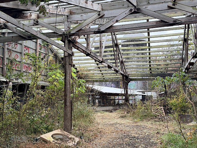 Seen immediately before demolition began, roof sections are missing, graffiti marks the surfaces, and invasive plants have a pervasive hold
