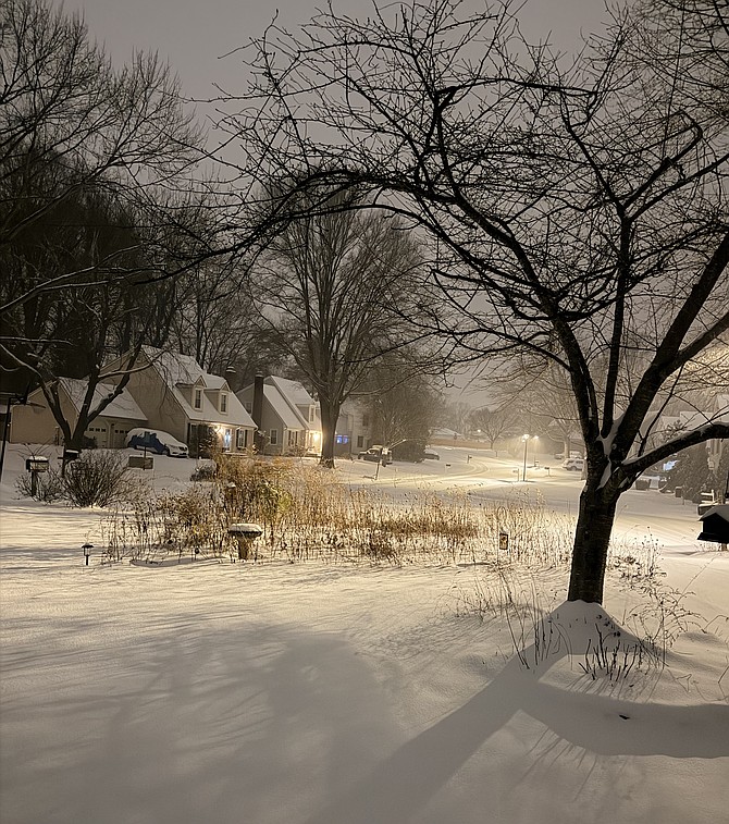 Neighborhood snow scenes showed nature’s beauty on Saturday night