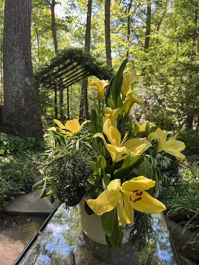 Sunlight filters through a pergola as a vibrant floral display greets visitors exploring the outdoor spaces featured in Fairfax County’s Historic Garden Week.