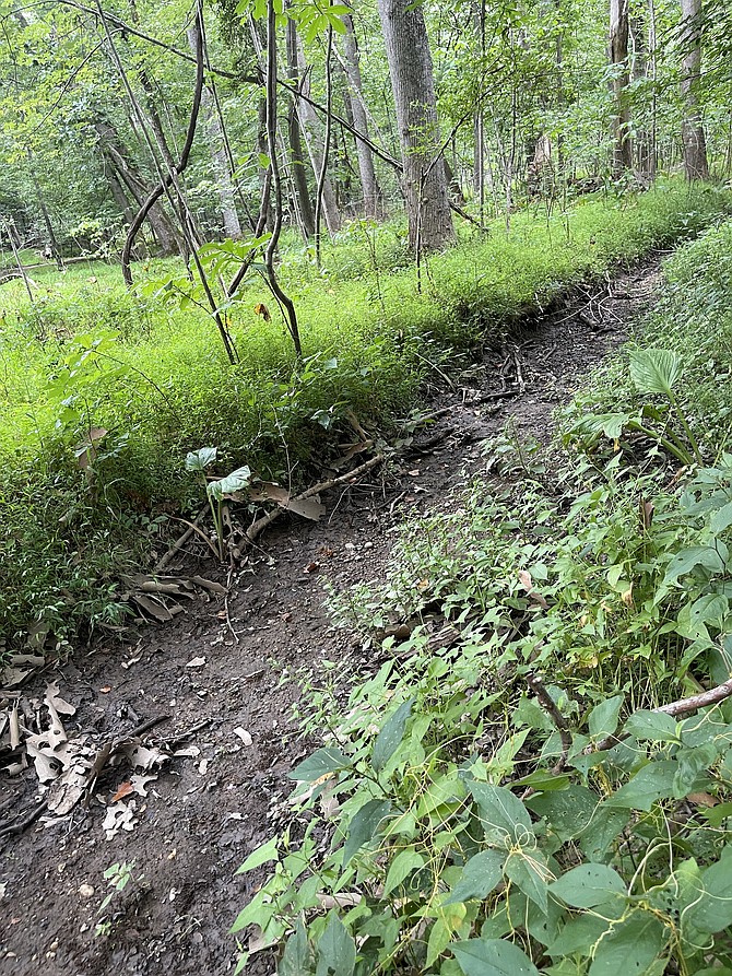 This stream in Great Falls National Park in Fairfax County was dry on Sunday morning, Aug. 1.