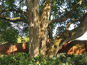 Photo detail