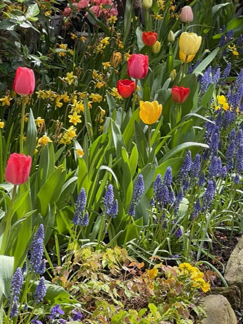 89th Annual Historic Garden Week, April 23 in Old Town Alexandria
